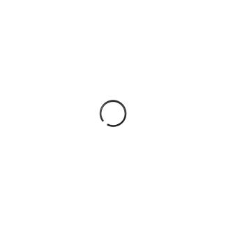 ������ ��������� ( Retainer O-ring ) RT-5265 ���.38