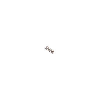 ������� ��������� ������������� ( Bearing spring ) RT-5275 ���.26