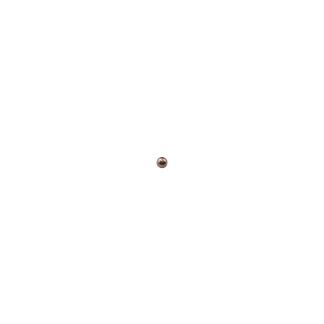 ����� �������� ( Steel ball ) RT-5565 ���.50